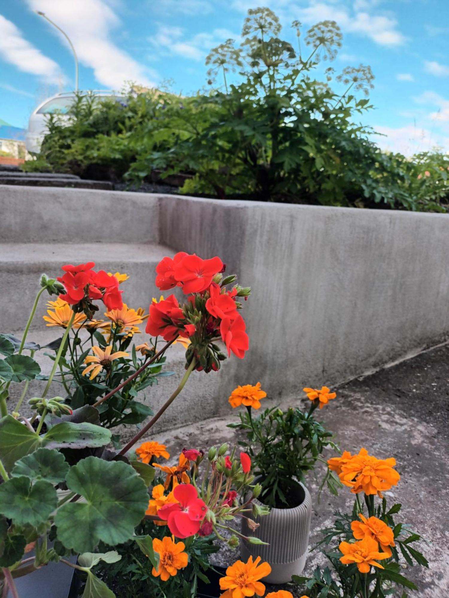 Lara Studio In Laugardalur Valley, Reykjavik Central Park And Botanical Garden, Private Entrance, Free Private Parking On Side Dış mekan fotoğraf