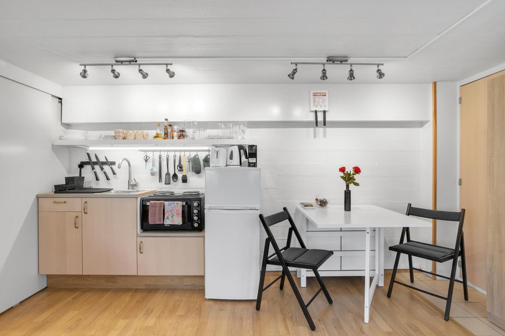 Lara Studio In Laugardalur Valley, Reykjavik Central Park And Botanical Garden, Private Entrance, Free Private Parking On Side Dış mekan fotoğraf
