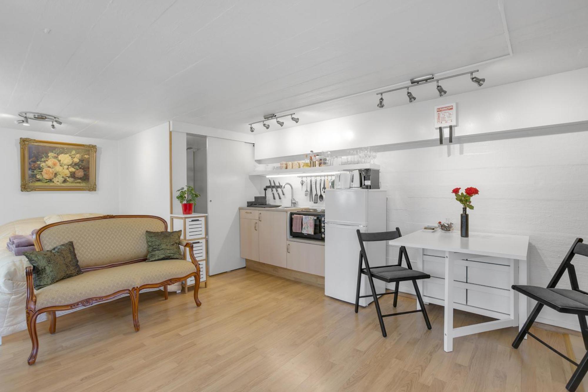 Lara Studio In Laugardalur Valley, Reykjavik Central Park And Botanical Garden, Private Entrance, Free Private Parking On Side Dış mekan fotoğraf